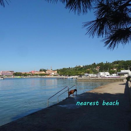 Apartments Nea By Locap Group Portorož Dış mekan fotoğraf